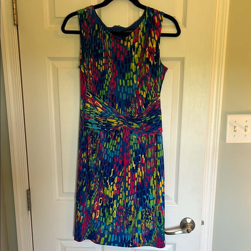 Colorful Sleeveless Ellen Tracy Dress